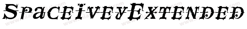 SpaceIveyExtended Italic字体转换